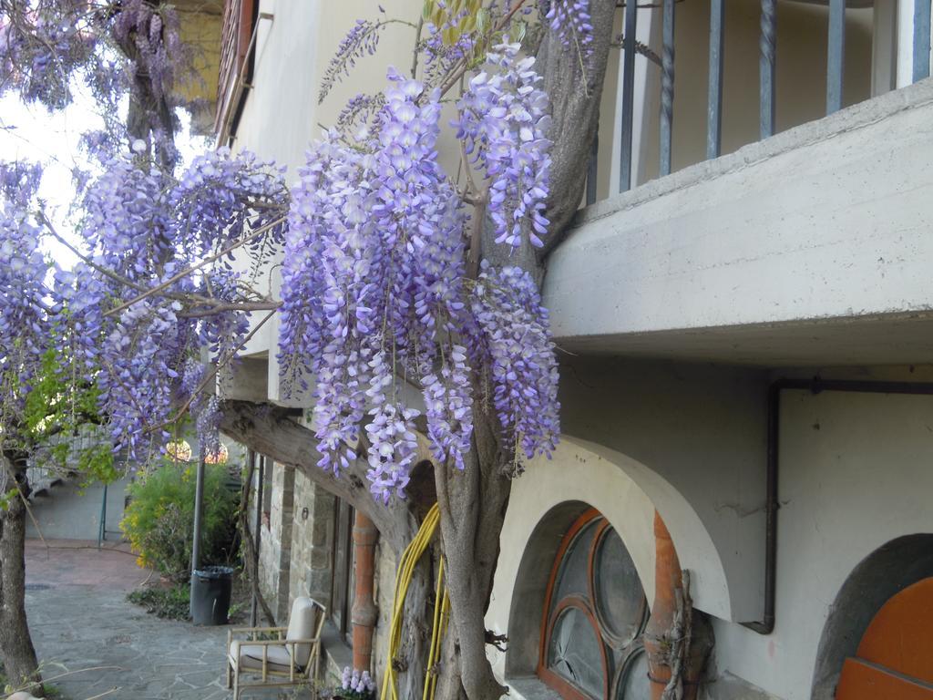 Gasthaus Bel Panorama Tre Pelago Exterior foto